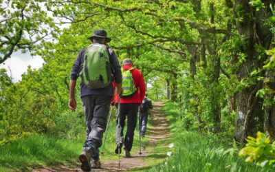 Randonnée pédestre