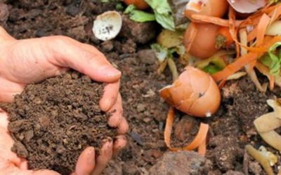 Atelier compostage Samedi 7 mai