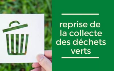 Reprise de la collecte des déchets végétaux