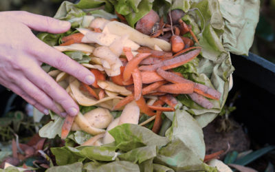 Alerte qualité bac déchets végétaux