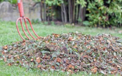 Distribution de broyat